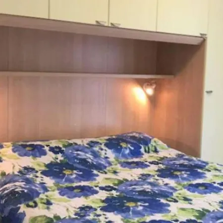 Apartment In Close To The *
